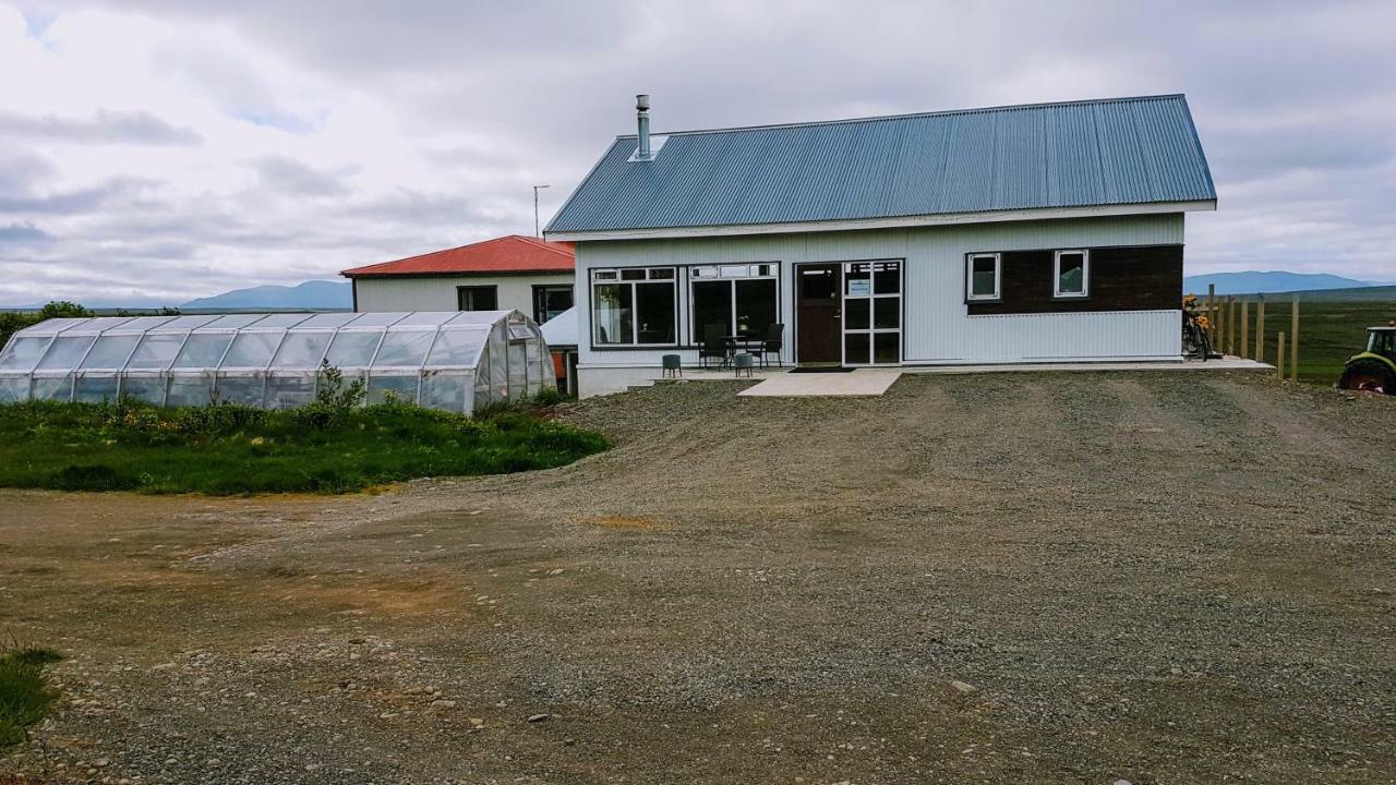 Grasteinn Guesthouse Thorshofn Exterior photo